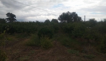 Πωλείται οικόπεδο 2,300 τ.μ στην Ξυρόβρυση Άργους