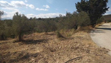 Πωλείται οικόπεδο τέσσερα στρέμματα στο Μπόρσα Αργολίδας