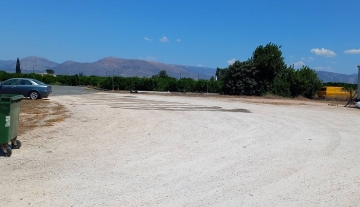 Ενοικίζεται στην Δαλαμαναρα Αργολίδας 4 στρέμματα