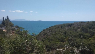 Πωλείται οικόπεδο 1.500  τ.μ προσόψεως στο Ξηρπήγαδο Αρκαδίας