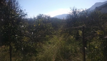 Πωλείται οικόπεδο 4.250 τ.μ εντός σχεδίου στο Πανόραμα Κουτσοποδίου Άργους 