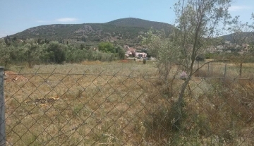 Πωλείται οικόπεδο προσόψεως 2 στρέμματα με άδεια οικοδομής στην Άρια Ναυπλίου 