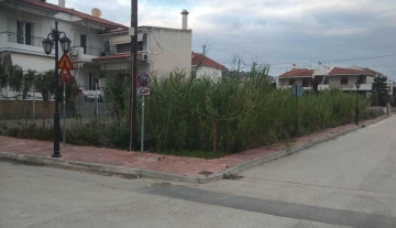 Πωλείται οικόπεδο 250 τ.μ άρτιο και οικοδομίσιμο στην περιοχή Κούρτη στο Ναυπλιο