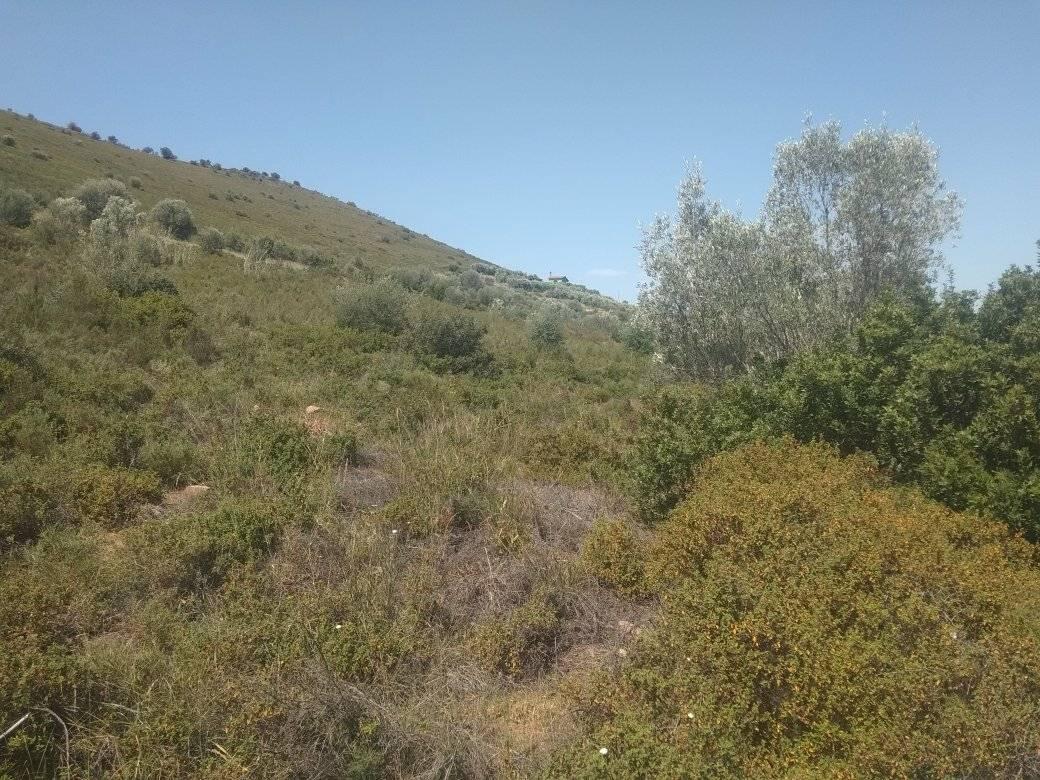 forsale-plot-leukakianafplioargolida2.jpg