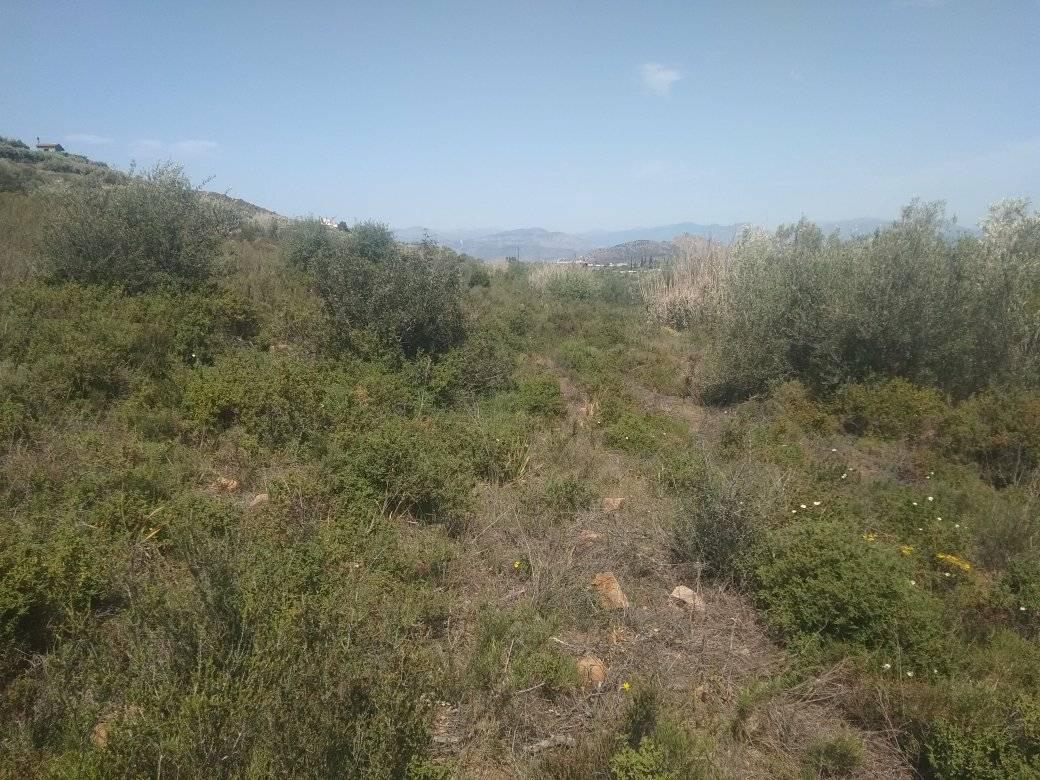 forsale-plot-leukakianafplioargolida3.jpg