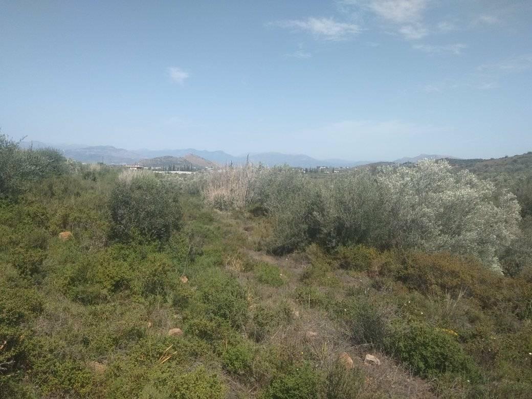 forsale-plot-leukakianafplioargolida4.jpg