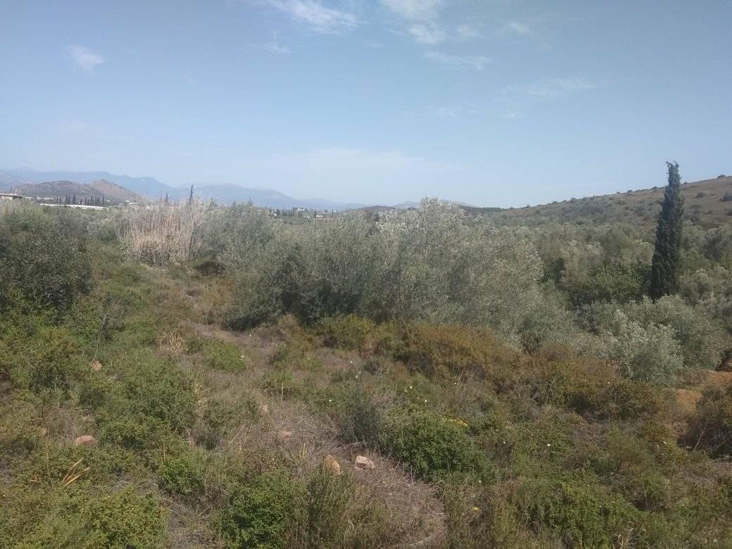 forsale-plot-leukakianafplioargolida6.jpg