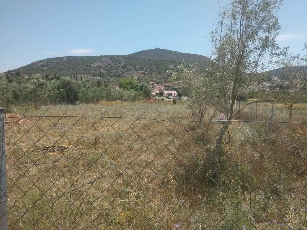 forsale-plot-nafplio-argolida.jpg