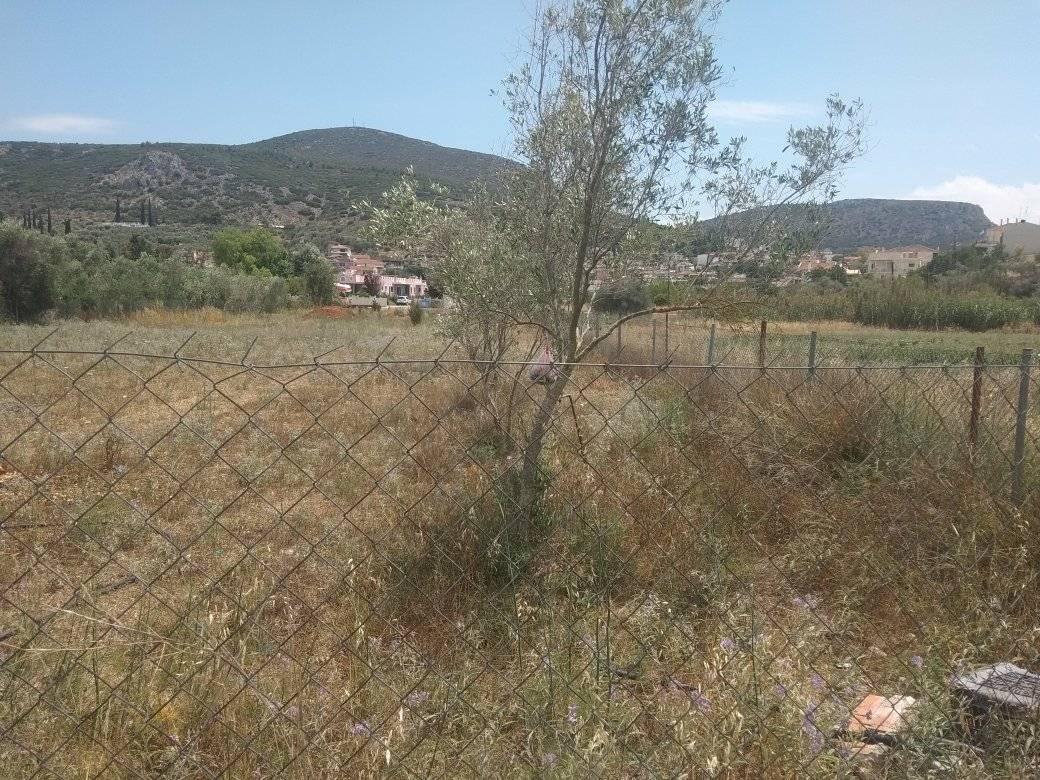 forsale-plot-nafplio-argolida2.jpg