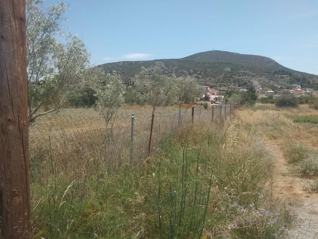 forsale-plot-nafplio-argolida3.jpg