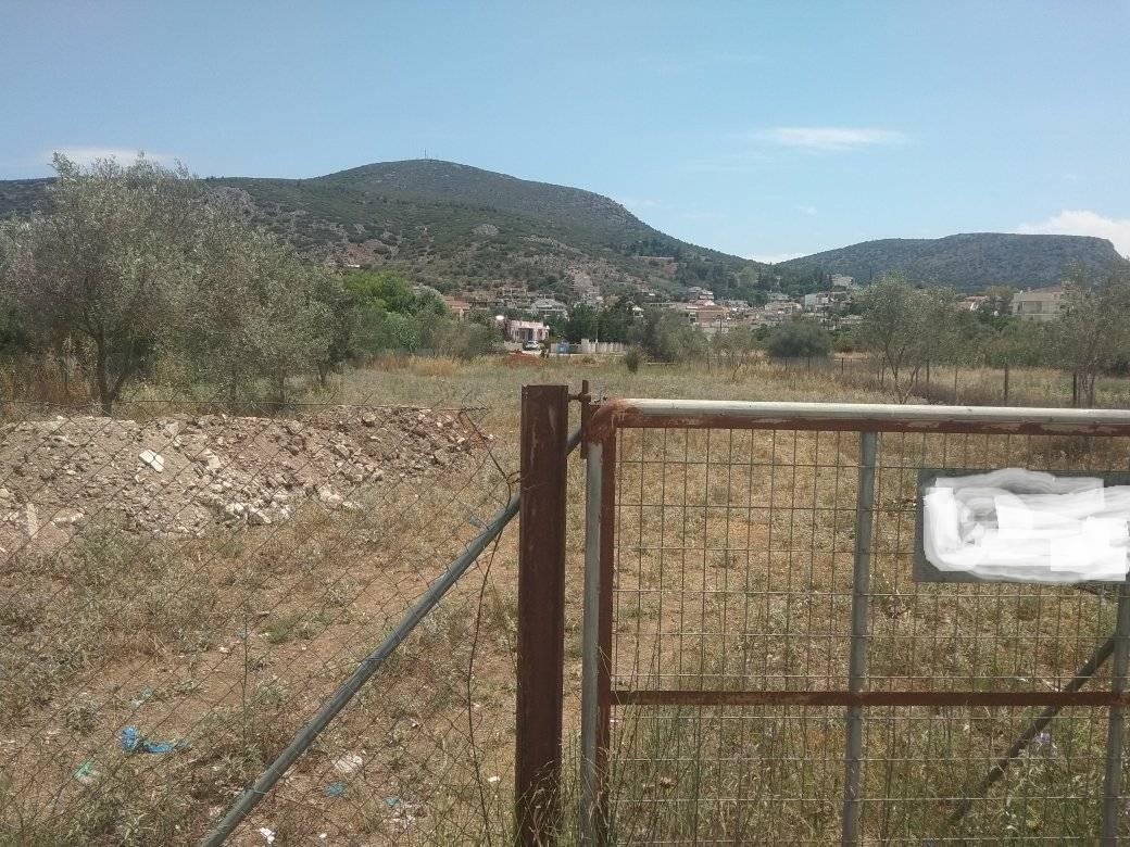 forsale-plot-nafplio-argolida4.jpg