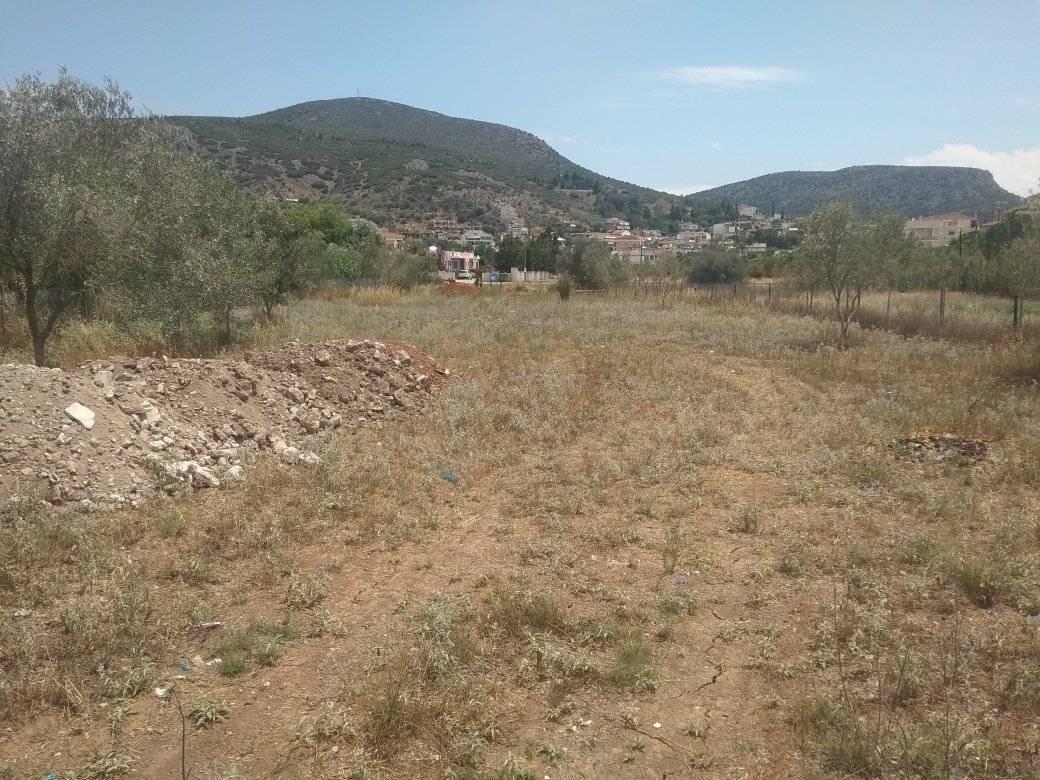 forsale-plot-nafplio-argolida5.jpg