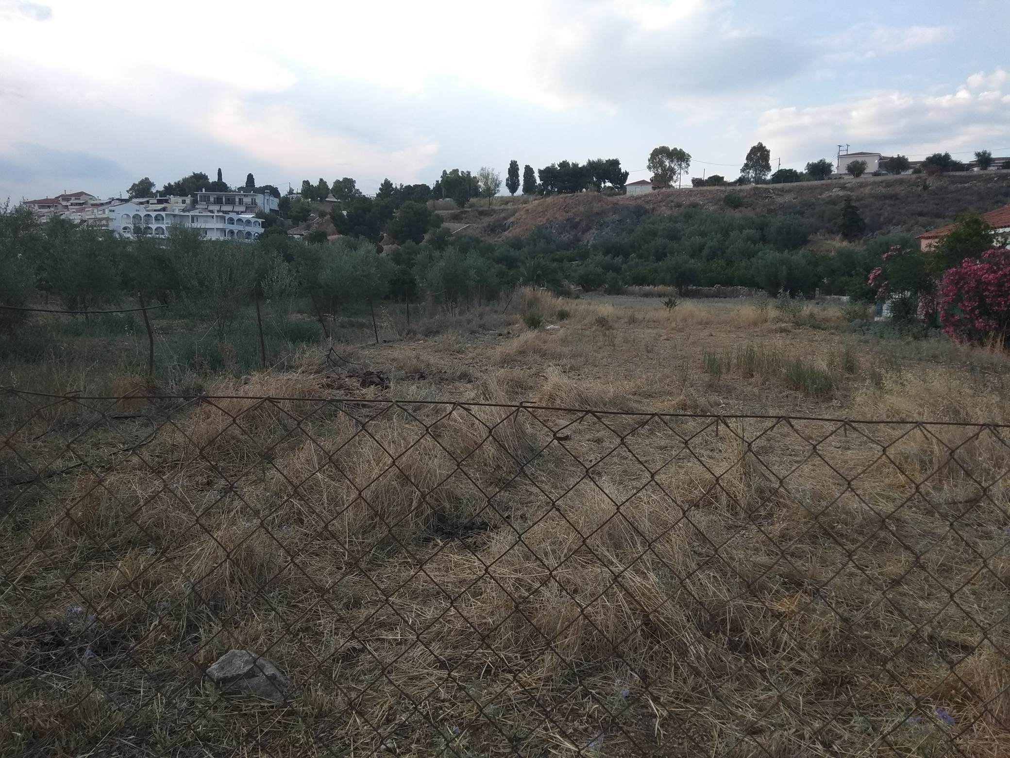 forsale-plotofand-plakadrepanou-argolida3.jpg