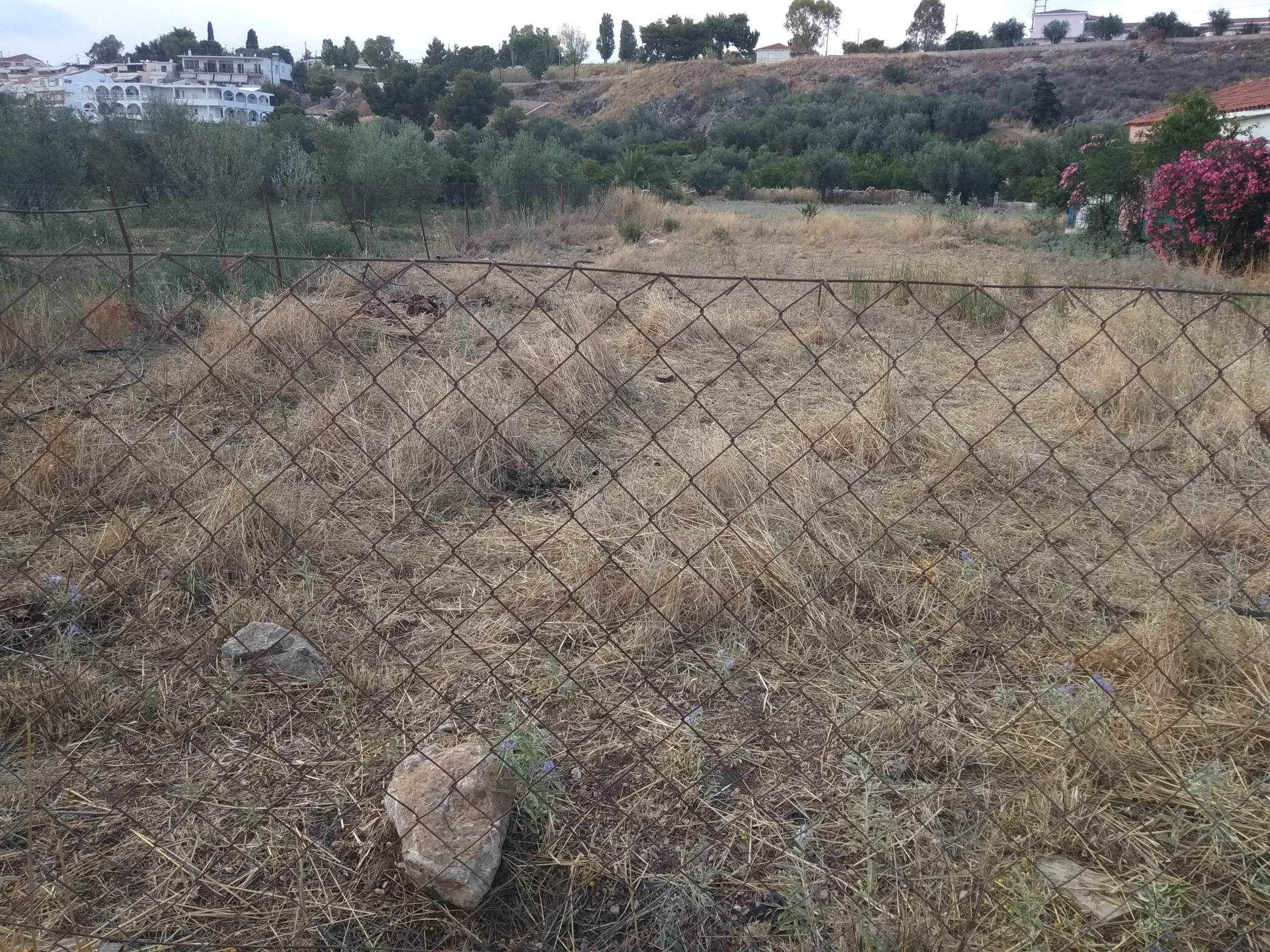 forsale-plotofand-plakadrepanou-argolida4.jpg