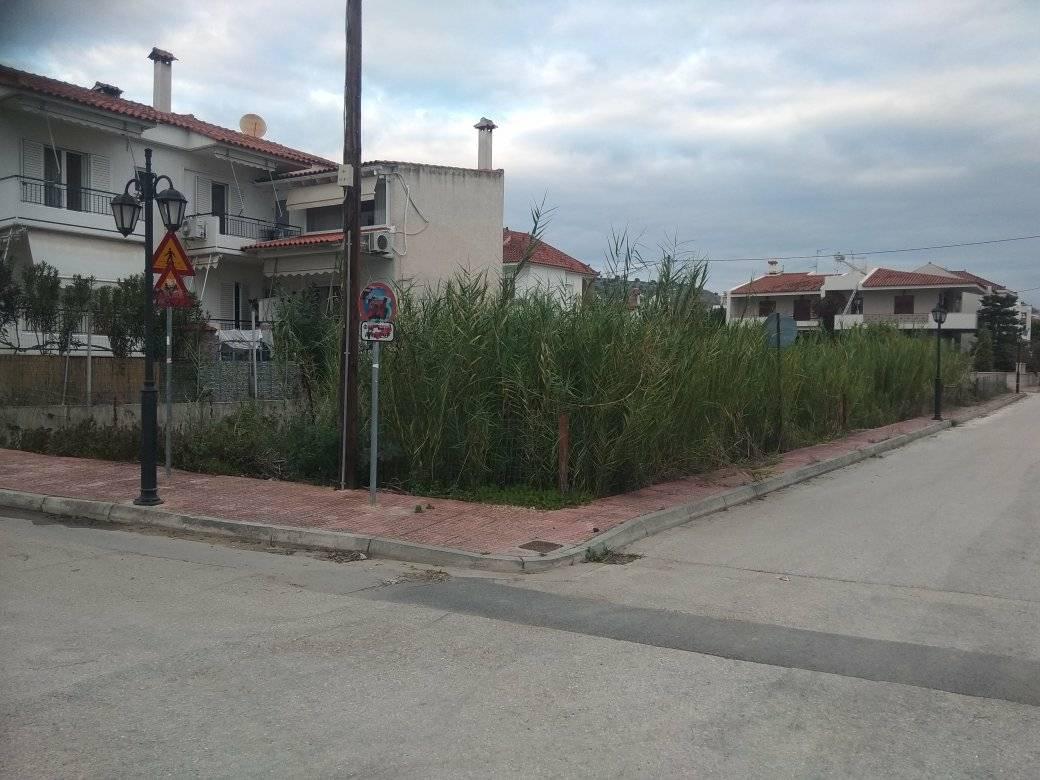 forsaleplot-kourtinafplio.jpg