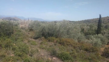forsale-plot-leukakianafplioargolida6.jpg