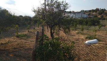 forsale-plotofand-plakadrepanou-argolida5.jpg