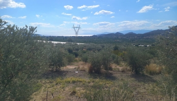 Πωλείται οικόπεδο 3 στρέμματα στα Λευκάκια Ναυπλίου